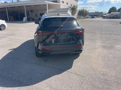 2025 Lexus NX 250 Premium