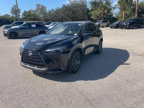 2025 Lexus NX 250 Premium