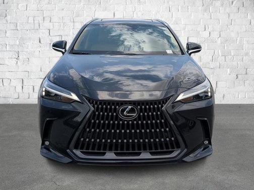 2025 Lexus NX 250 Premium