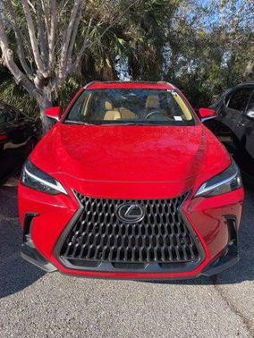 2025 Lexus NX 250 Premium