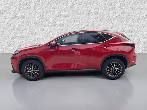 2025 Lexus NX 250 Premium