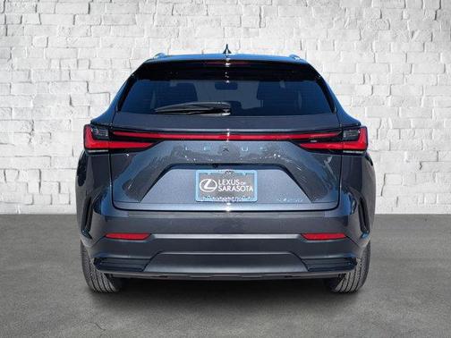 2025 Lexus NX 250 Premium