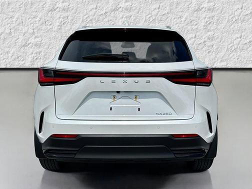 Eminent White Pearl 2024 Lexus NX 250 Premium