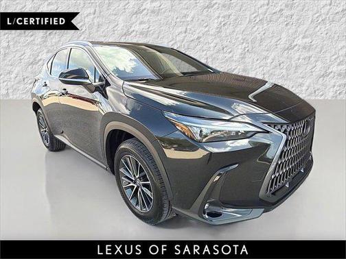 2025 Lexus NX 250 Base