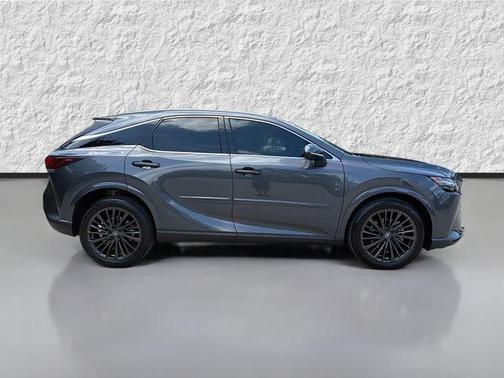 Cloudburst Gray 2025 Lexus RX 350 Premium