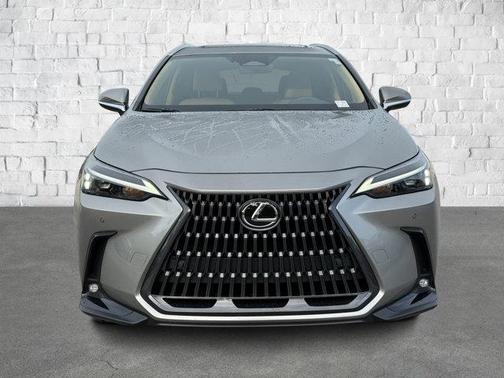 2025 Lexus NX 250 Premium