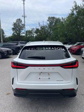 Eminent White Pearl 2025 Lexus NX 250 Base