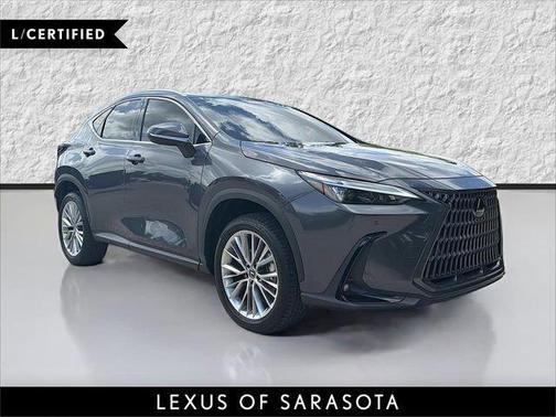 Cloudburst Gray 2025 Lexus NX 350h Premium