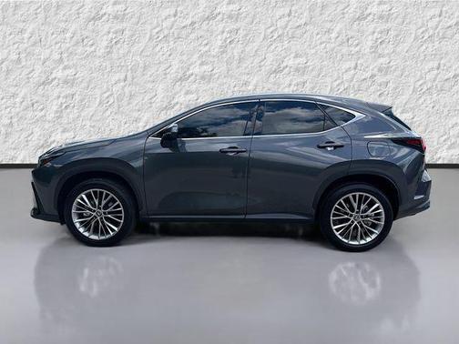 Cloudburst Gray 2025 Lexus NX 350h Premium