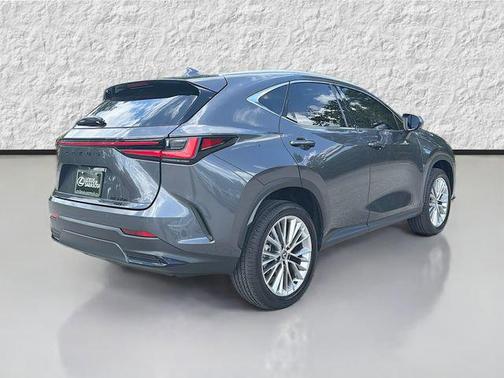 Cloudburst Gray 2025 Lexus NX 350h Premium