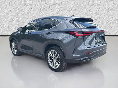 Cloudburst Gray 2025 Lexus NX 350h Premium