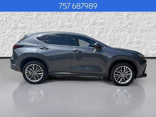 Cloudburst Gray 2025 Lexus NX 350h Premium