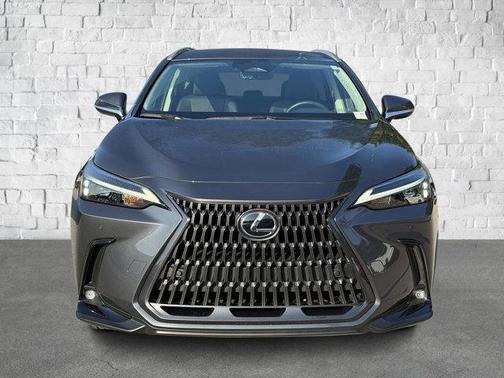 2025 Lexus NX 250 Base