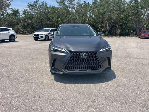 2025 Lexus NX 250 Base