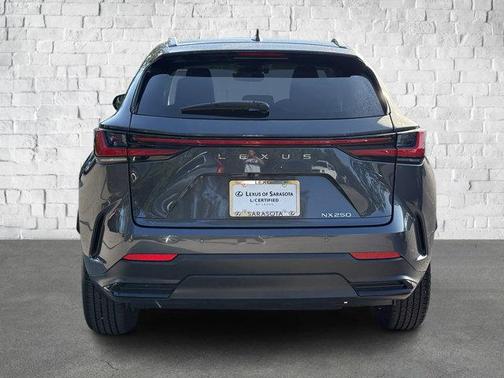 2025 Lexus NX 250 Base