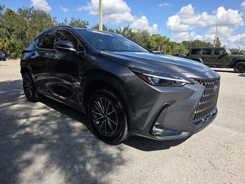 2025 Lexus NX 250 Premium