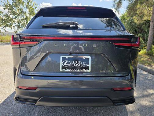 2025 Lexus NX 250 Premium