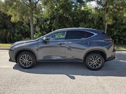 2025 Lexus NX 250 Premium