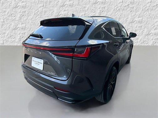 2025 Lexus NX 250 Premium