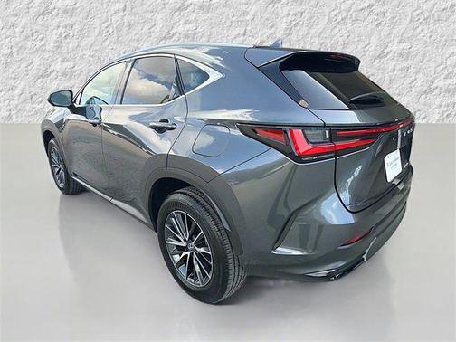 2025 Lexus NX 250 Premium