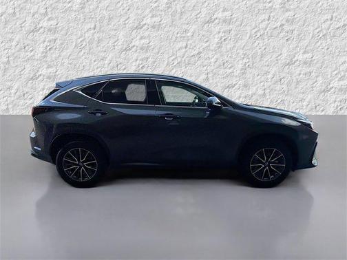 2025 Lexus NX 250 Premium
