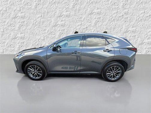 2025 Lexus NX 250 Premium