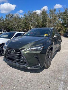 2025 Lexus NX 250 Premium