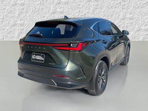 2025 Lexus NX 250 Premium