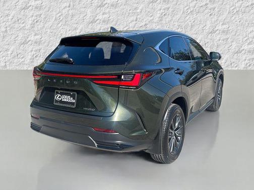 2025 Lexus NX 250 Premium