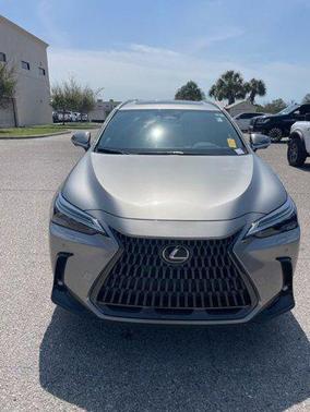 2024 Lexus NX 350 Luxury
