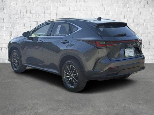 2025 Lexus NX 250 Premium