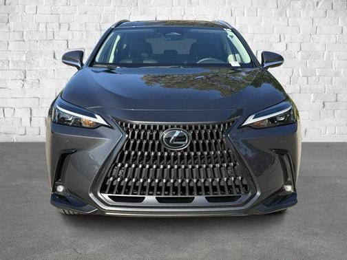 2025 Lexus NX 250 Premium