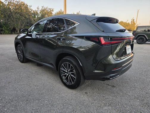 2025 Lexus NX 250 Premium