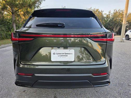 2025 Lexus NX 250 Premium