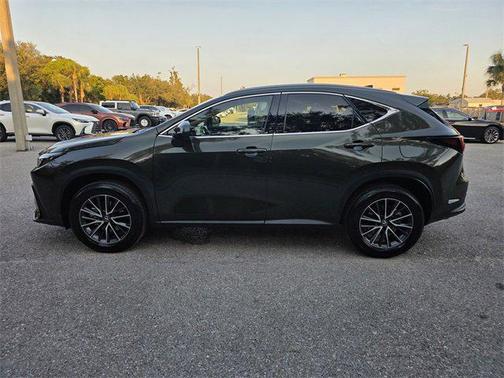 2025 Lexus NX 250 Premium