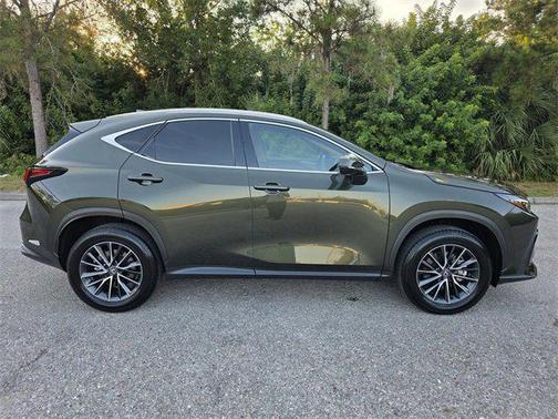 2025 Lexus NX 250 Premium