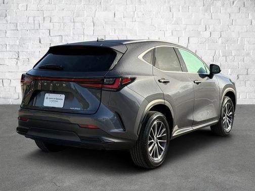 2025 Lexus NX 250 Base