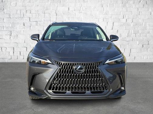 2025 Lexus NX 250 Base