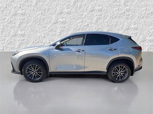 2024 Lexus NX 250 Premium