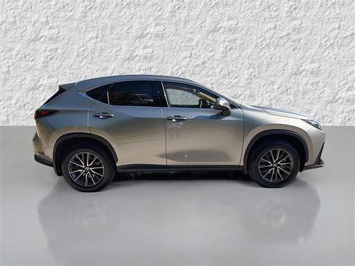 2024 Lexus NX 250 Premium