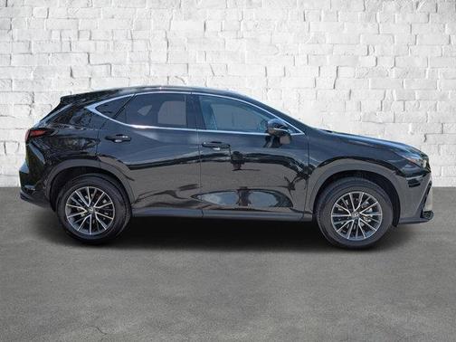 2025 Lexus NX 250 Premium