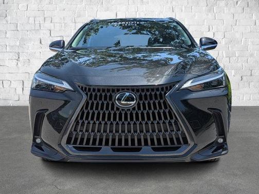 2025 Lexus NX 250 Premium