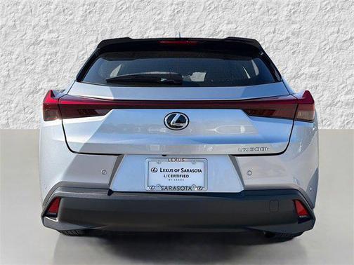 2025 Lexus UX 300h Premium