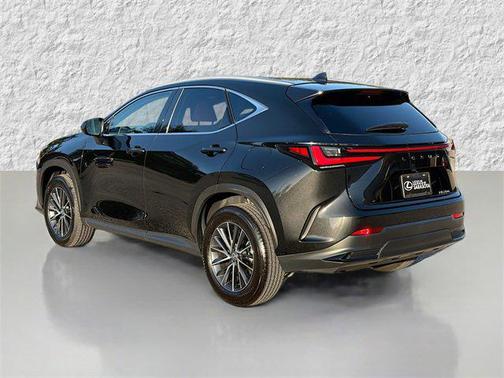 2025 Lexus NX 250 Premium