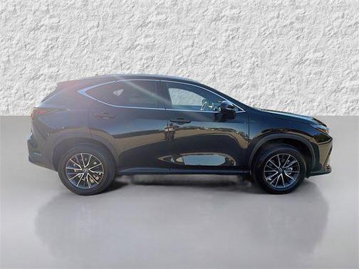 2025 Lexus NX 250 Premium