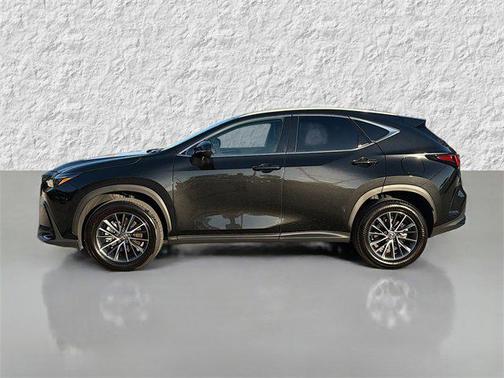 2025 Lexus NX 250 Premium