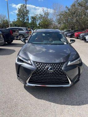2025 Lexus UX 300h Premium