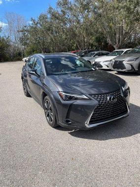 2025 Lexus UX 300h Premium