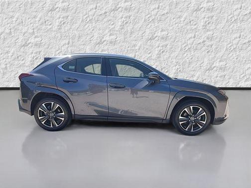 2025 Lexus UX 300h Premium