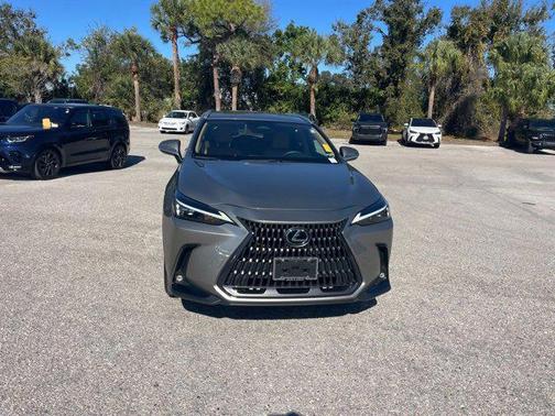 2024 Lexus NX 250 Base